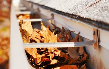 Pingewood gutter cleaning companies